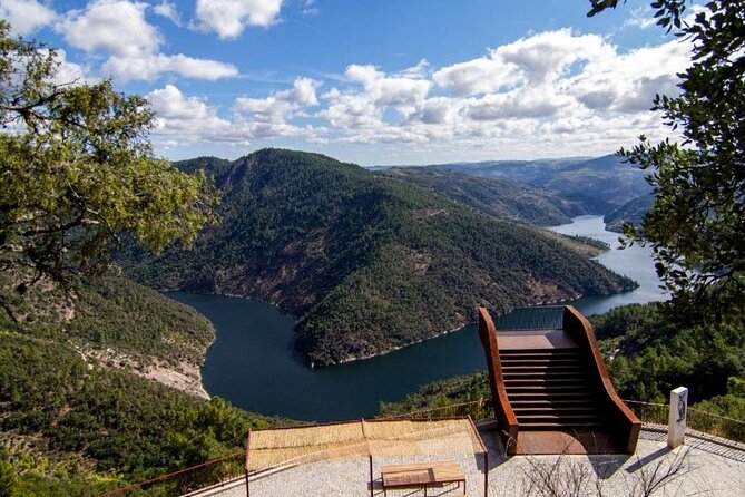 Private Tour from Porto : Douro Valley and Green Wines - Stop 2 lunch in the Douro: three meal choices plus local pairing
