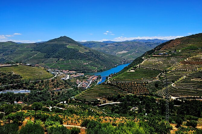 Private Tour from Porto : Douro Valley and Green Wines - Stop 3 Porto wine production: learning the process, ending with tasting