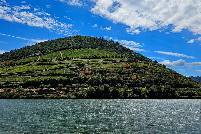 Private Tour from Porto : Douro Valley and Green Wines - Planning tips so the day feels smooth, not rushed
