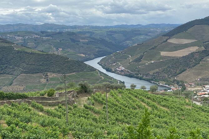 Private Tour From Porto To Douro Valley With River Boat Ride - Quinta do Tedo Wine Production Tour, Not Just a Tasting Room