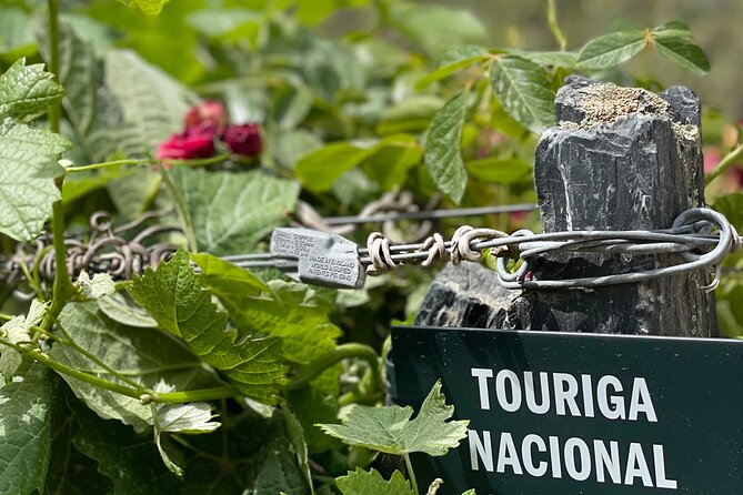 Private Tour From Porto To Douro Valley With River Boat Ride - Pinhão Lunch and Douro DOC Tastings with Unlimited Pours
