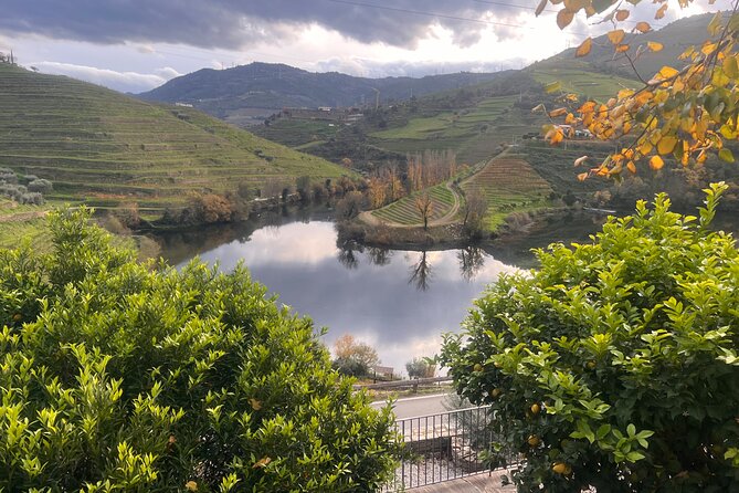 Private Tour From Porto To Douro Valley With River Boat Ride - Price and Value: What $345.51 Buys You