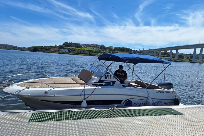 Private Tour of the 6 Bridges with Port Wine - Cruising Under the Six Bridges, Spot-by-Spot