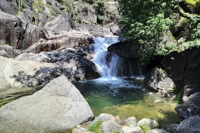 Private Tour to Peneda-Gerês National Park, for nature fans - Value check: what your $248.53 actually buys