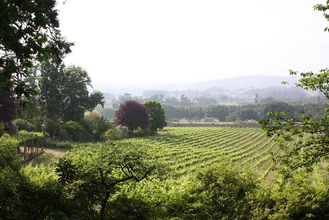 Private tour to Ponte de Lima, Vinho Verde region - Capela do Anjo da Guarda and Santo António da Torre Velha: small stops, strong payoff
