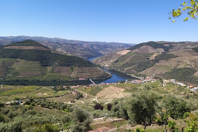 Private Tour to stunning Douro Valley and most renowned wineries - Quick hits you’ll care about