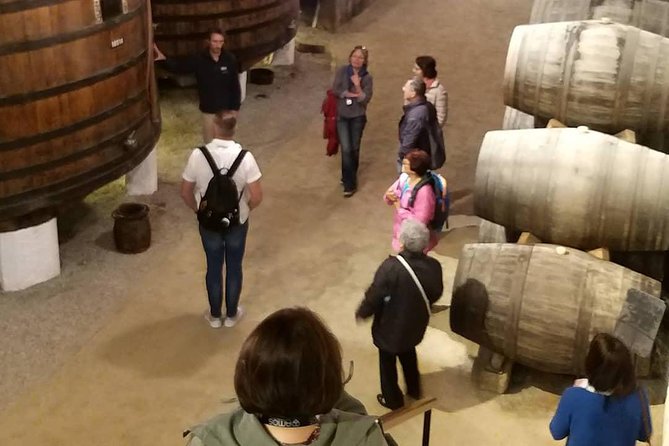 Private Tour to stunning Douro Valley and most renowned wineries - Getting there in a luxury vehicle with Wi-Fi and refreshments