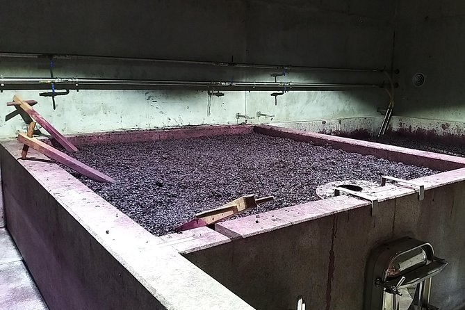 Private Tour to stunning Douro Valley and most renowned wineries - Pinhão: the river town, the famous tiles, and local food hints