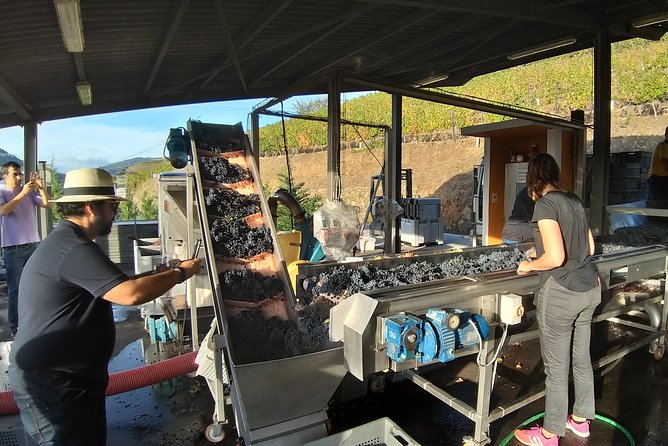Private Tour to stunning Douro Valley and most renowned wineries - Peso da Régua: the Douro wine hub and its museum stop