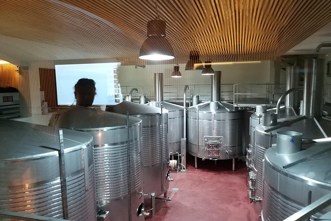 Private Tour to the rock art of Côa Park, Pinhão and Winery - Winery options at Quinta do Seixo and Quinta do Bomfim