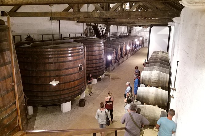 Private Tour to the rock art of Côa Park, Pinhão and Winery - Optional Magnifico Douro boat cruise for a change of pace
