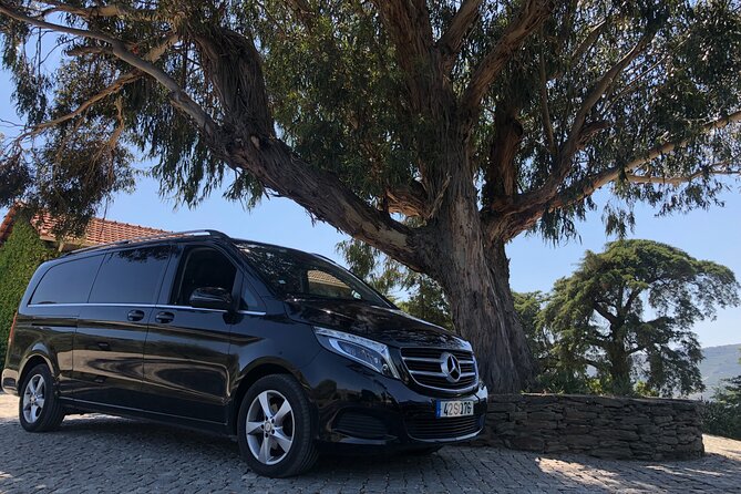 Private transfer from Porto to Lisbon with two Sightseeing stops - Picking the Right Two-Stop Combo Without Rushing Your Group