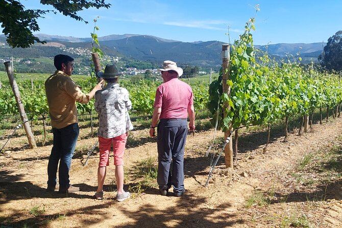 Private Vinho Verde Wine Tour from Porto with Lunch & Tastings - Key things I’d mark on your map before you book