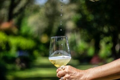 Private Vinho Verde Wine Tour from Porto with Lunch & Tastings