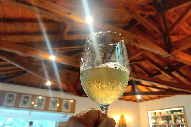Private Vinho Verde Wine Tour from Porto with Lunch & Tastings - The boat trip that breaks up the wine day