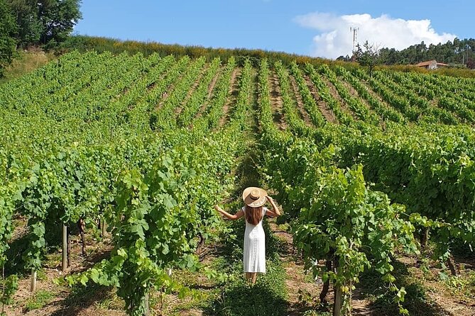 Private Vinho Verde Wine Tour from Porto with Lunch & Tastings - Why this day feels private, not like a production line