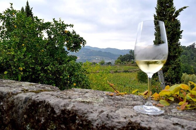 Private Vinho Verde Wine Tour from Porto with Lunch & Tastings - Price and value: what you’re really paying for at $288.38