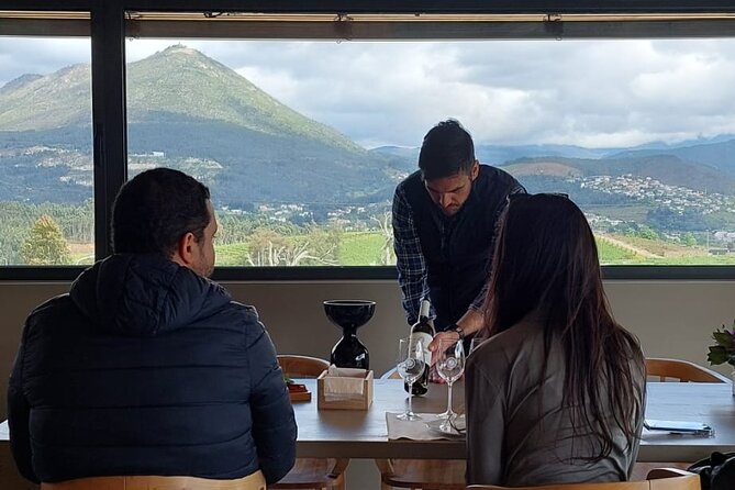 Private Vinho Verde Wine Tour from Porto with Lunch & Tastings - Who should book this private Vinho Verde tour from Porto