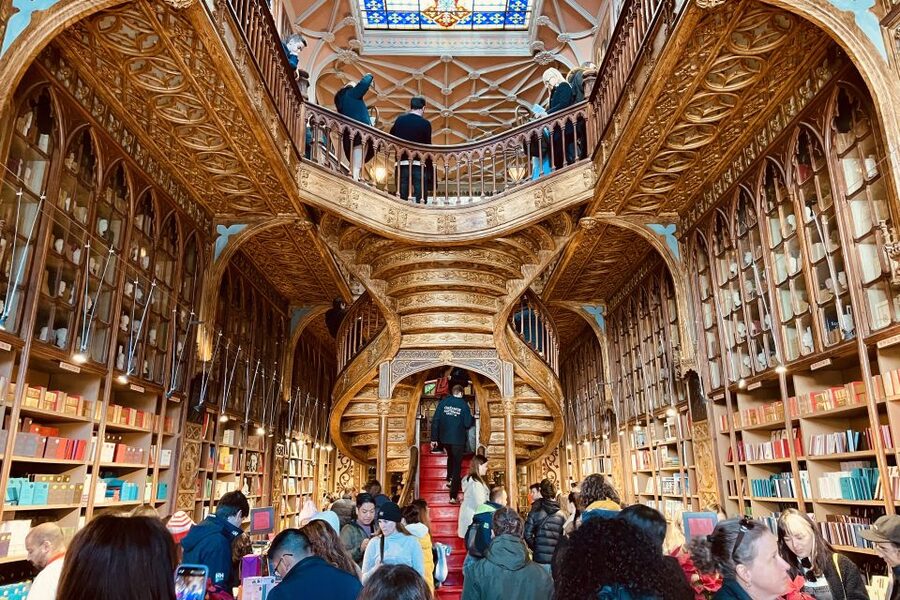Private Walking Tour in Porto incl. Livraria Lello ticket - How the guide personalization changes the whole experience