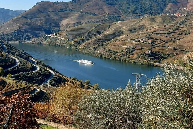 Private Wine Tasting Tour in Douro Valley - Miradouro de Sao Leonardo de Galafura: Your Big “Okay, This Is It” Moment