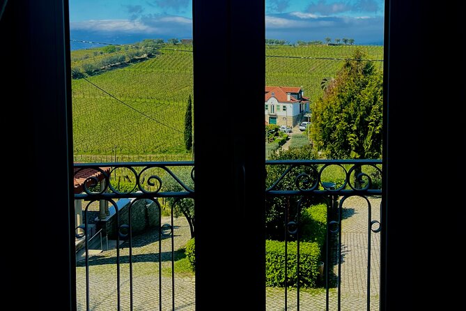 Private Wine Tasting Tour in Douro Valley - Price and Value: Why $662.26 Can Make Sense Here