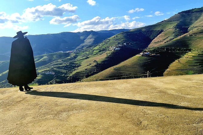 Private Wine Tasting Tour in Douro Valley - Quinta Seara d’Ordens: Wine Plus Olive Oil Tasting (Not Just Another Pour)
