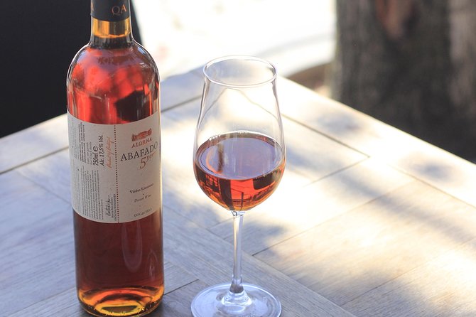 Private Wine Tour Xperience - Why This Porto Wine Tour Fits So Well Into an Afternoon