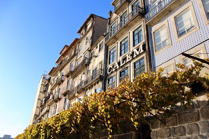 Private Wine Tour Xperience - Timing, Group Size, and the Practical Stuff That Affects Your Day