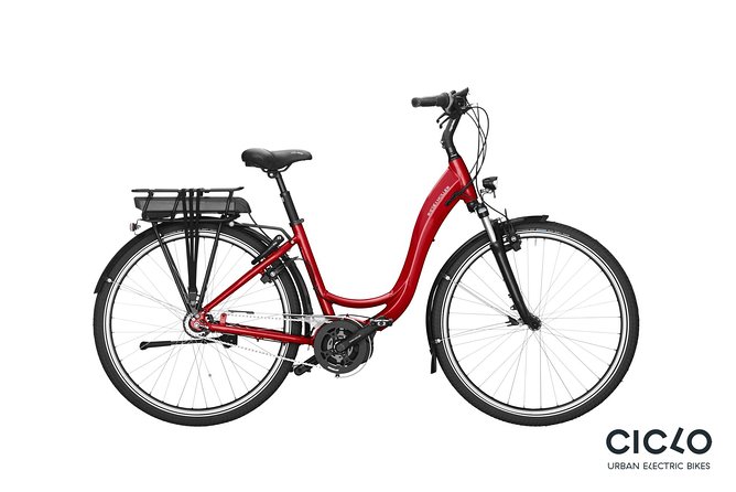 Rent an Electric Bike with Bosch motor - Douro River pauses at Foz or Matosinhos