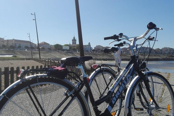 Rent bikes in Póvoa de Varzim and Vila do Conde - The old railway cycle path to Famalicão and the Rates Monastery