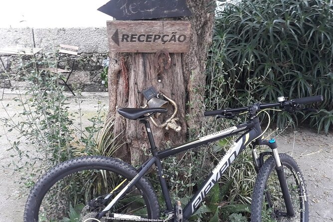 Rent mountain bike for bike path old railway to Famalicão - Your mountain bike setup: what the 29-inch wheels mean for you