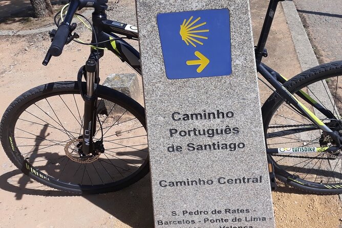 Rent mountain bike for bike path old railway to Famalicão - The Monastery of Rates stop, and how to make it count