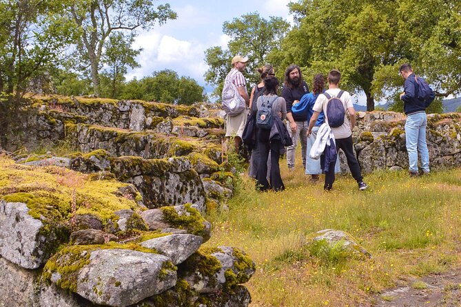 Sanfins and Briteiros Celtic Hillforts Minivan PrivateTour - Museum Martins Sarmento: where artifacts meet everyday explanations