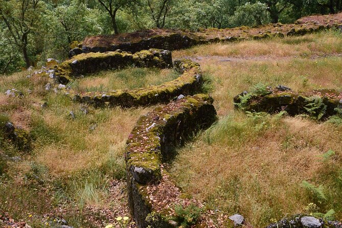 Sanfins and Briteiros Celtic Hillforts Minivan PrivateTour - Stop 3: Citania de Sanfins, quieter ruins and a rebuilt house