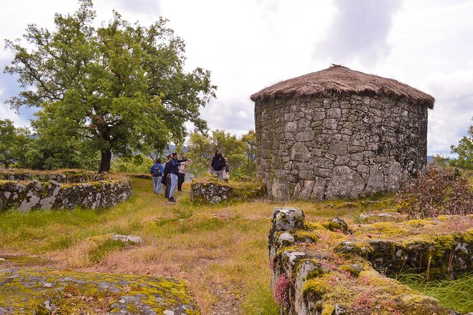 Sanfins and Briteiros Celtic Hillforts Minivan PrivateTour - Logistics and pacing: what a 9-hour day feels like