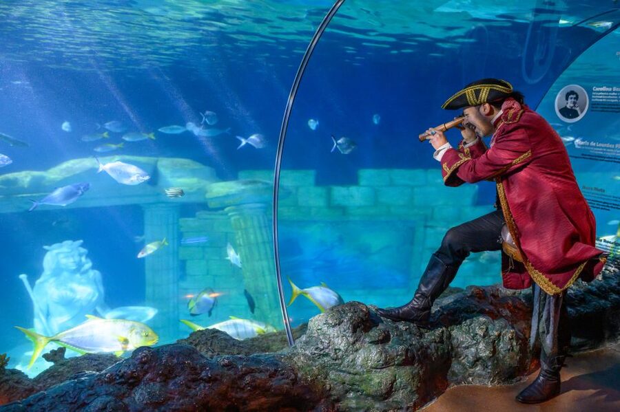 SEA LIFE Porto Full-Day Entrance Ticket - What Your Full-Day SEA LIFE Porto Ticket Really Covers