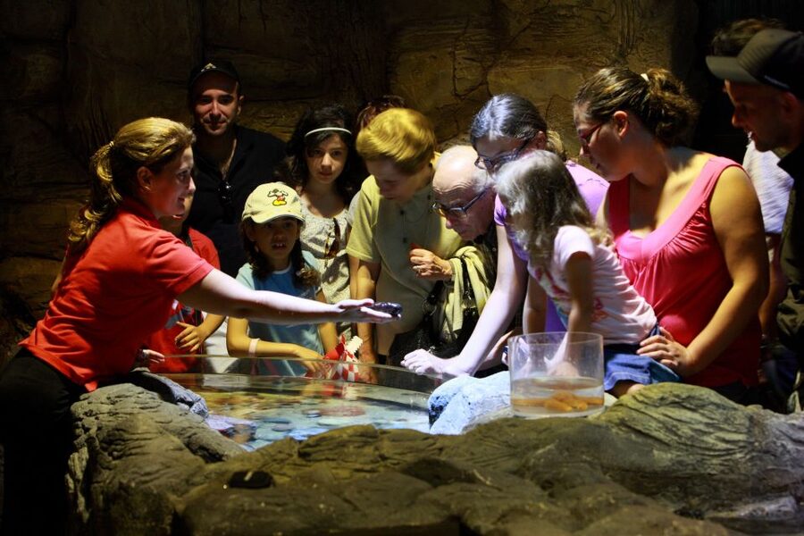 SEA LIFE Porto Full-Day Entrance Ticket - Who Should Book This SEA LIFE Porto Ticket?