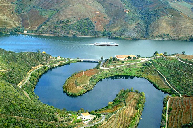 Secrets of Porto and Douro Valley with River Cruise - Day 2: UNESCO Porto Center, São Francisco Church, Lello Library, and Port Cellars