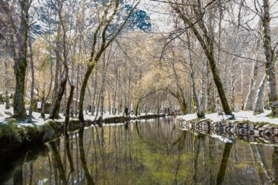 Serra da Estrela – Full Day Private Tour