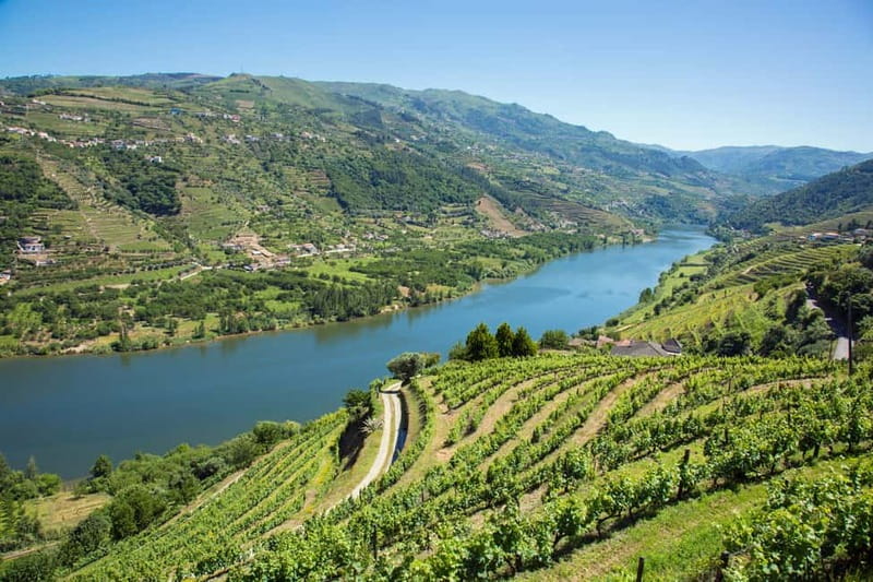Small Group: Douro Valley Wine Tasting from Porto - Porto to the Douro Valley, in a van with a real time plan