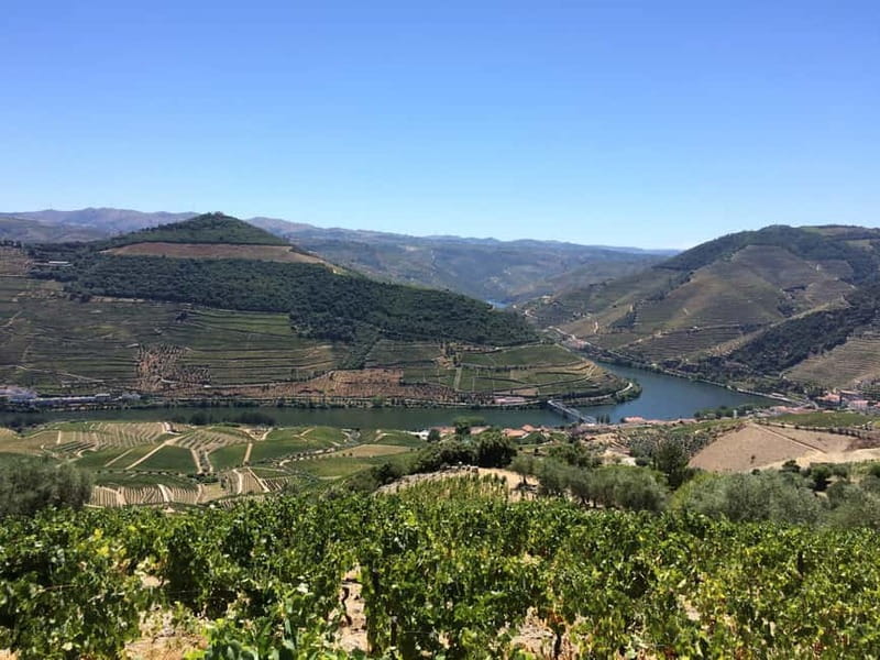 Small Group: Douro Valley Wine Tasting from Porto - Pinhão boat cruise: the best way to read the river
