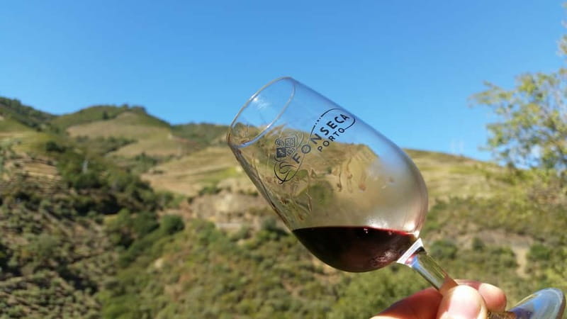 Small Group: Douro Valley Wine Tasting from Porto - Small group size: the good, and the reality check