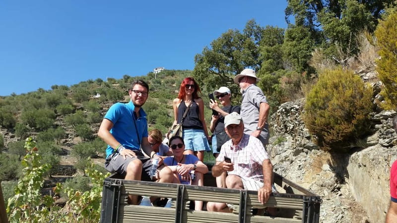 Small Group: Douro Valley Wine Tasting from Porto - The Douro River viewpoint stop near Peso da Regua