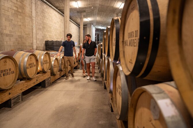 Small Group Douro Valley Wine Tour with Lunch and Cruise - The ride, the pace, and why small-group matters