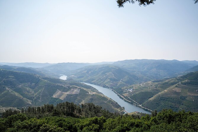 Small Group Douro Valley Wine Tour with Lunch and Cruise - Tips to help you get the most out of the day