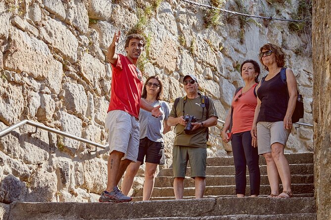 Small Group Secrets of Porto Walking Tour - Passeio das Virtudes and Miragaia: small stairs, big payoffs