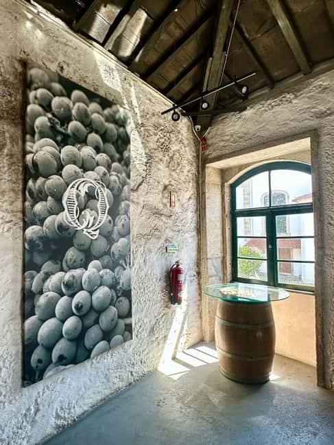Soul of Portugal: an immersive experience of fado, wine, and tradition - Key Things To Know Before You Go