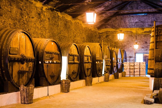Taste the Douro - Vintage Experience - Stop 2: A 15-Minute Pedestrian Bridge Over the Douro
