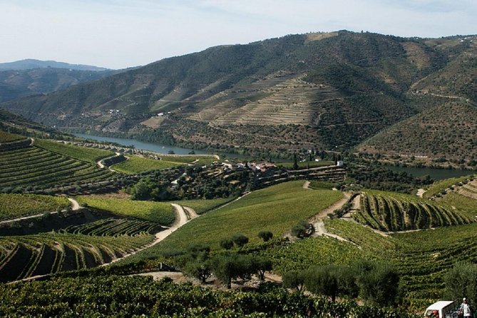 Taste the Douro - Vintage Experience - Weather, Timing, and What to Bring for Comfort