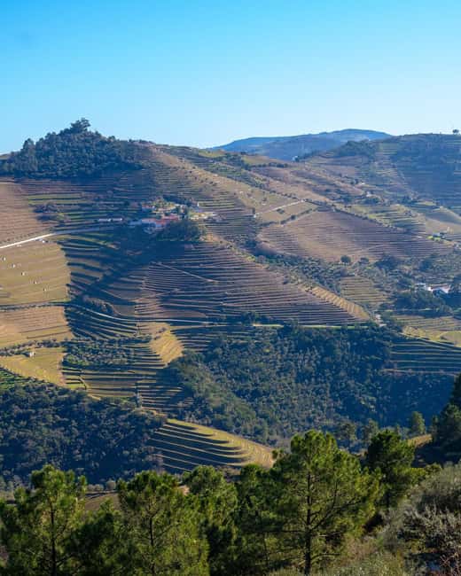 The Douro Valley Tour – Late Start Experience - What you should pack and how to pace tastings